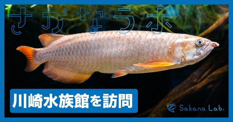 川崎水族館を訪問